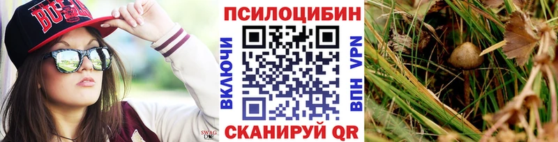 Галлюциногенные грибы MAGIC MUSHROOMS  даркнет клад  Власиха 
